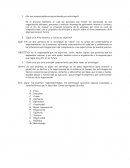 ¿En sus propias palabras que entiende por estrategia?