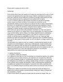 Ensayo sobre la cadena de valor en SCM