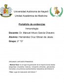 Portafo lio de evidencias. Inmunología