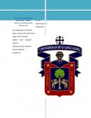 Propuesta de mejora Pharma Cientific