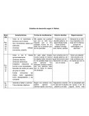 Estadios segun H. Wallon