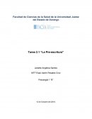 Tarea 2.1 “La Pre-escritura”