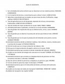 GUIA DE GEOGRAFIA