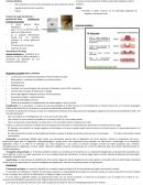 Resúmenes cirugía