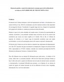 Sistema de gestión y control de tendencias de consumo para la diversificación de servicios en el ESTADERO SOL DE VERANO ¨DOÑA LILIA¨