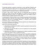 APRENDIZAJE SIGNIFICATIVO , los tipos