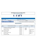 ELABORACIPON DE PIÑATAS