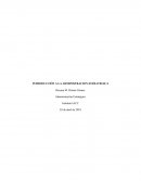 Administración Estratégica Empresa de Retail Seleccionada: Supermercados Jumbo