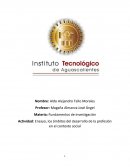 Ensayo, los ámbitos del desarrollo de la profesión en el contexto social