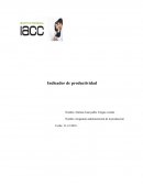 Indicador de productividad