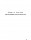 Realizamos folletos sobre animales venenosos de la región