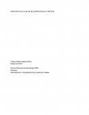 PROPUESTA DE PLAN DE RECUPERACIÓN DE CARTERA