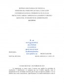 Organización como proceso administrativo