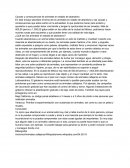 Causas y consecuencias de animales en estado de abandono