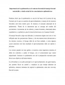 El conocimiento Epidometrico