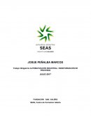 Proyecto monitorización de procesos