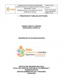 PRESUPUESTO FAMILIAR (SOFTWARE)