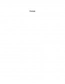 Investigación de Mercado. Plan de Introducción al Mercado