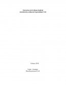 Estructura de la Rama Judicial. Jurisdicción ordinaria Especialidad Civil