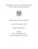 Diseño experimental LCB2 2 Las reacciones redox