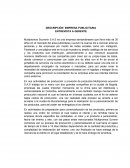 Empresa publicitaria Multipromos Souvenir S.A.S