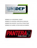 Direccion de negocios PANTERA PUBLICIDAD