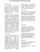 Pila Polimerica con Polianilina