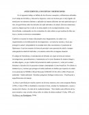 ANTECEDENTES, CONCEPTOS Y DEFINICIONES