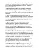 Importancia del agua hervida