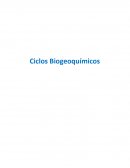 Ciclos Biogeoquímicos cuadro comparativo