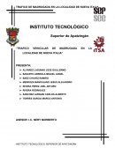 Trafico vehicular de madrugada en la localidad de Nueva Italia