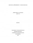 INNOVACION , EMPRENDIMIENTO Y VISION DE NEGOCIOS