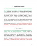 BACTERIAS ÁCIDO LÁCTICAS