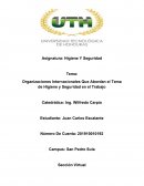 Organizaciones Internacionales Que Abordan el Tema de Higiene y Seguridad en el Trabajo