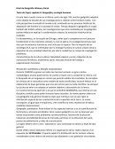 Geografía urbana y rural