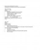 PROGRAMA DE SEGUNDA ESPECIALIDAD EN ENFERMERÍA. NEUMONIA