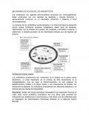 Mecanismo de accion de antibioticos