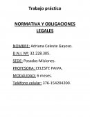 NORMATIVA Y OBLIGACIONES LEGALES