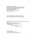 DESARROLLO DE LOS ADOLESCENTES III. IDENTIDAD Y RELACIONES SOCIALES