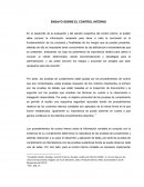 ENSAYO SOBRE EL CONTROL INTERNO