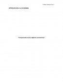 Componentes de los objetivos económicos