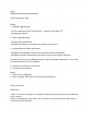 Resumen VIPLAN