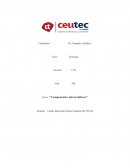 Componentes intracelulares
