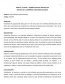 ESTUDIO DE LA EMPRESA CRECIONES ROLANDO