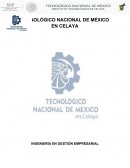Motivación de los demás Establecimiento de relaciones mediante una comunicación de apoyo