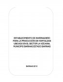 PROYECTO INVERNADERO LAS VIZCAINA