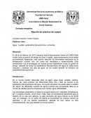 Ecología energética Reporte de práctica de campo