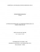 Matriz de Diagnostico y Mejoramiento