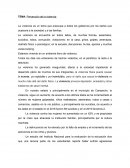 Prevención de la violencia