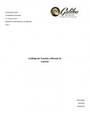 CATALOGO Y MANUAL DE CUENTAS